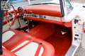 Ford Thunderbird 312-V8 Special / Zwei Verdecke Bianco - thumbnail 12