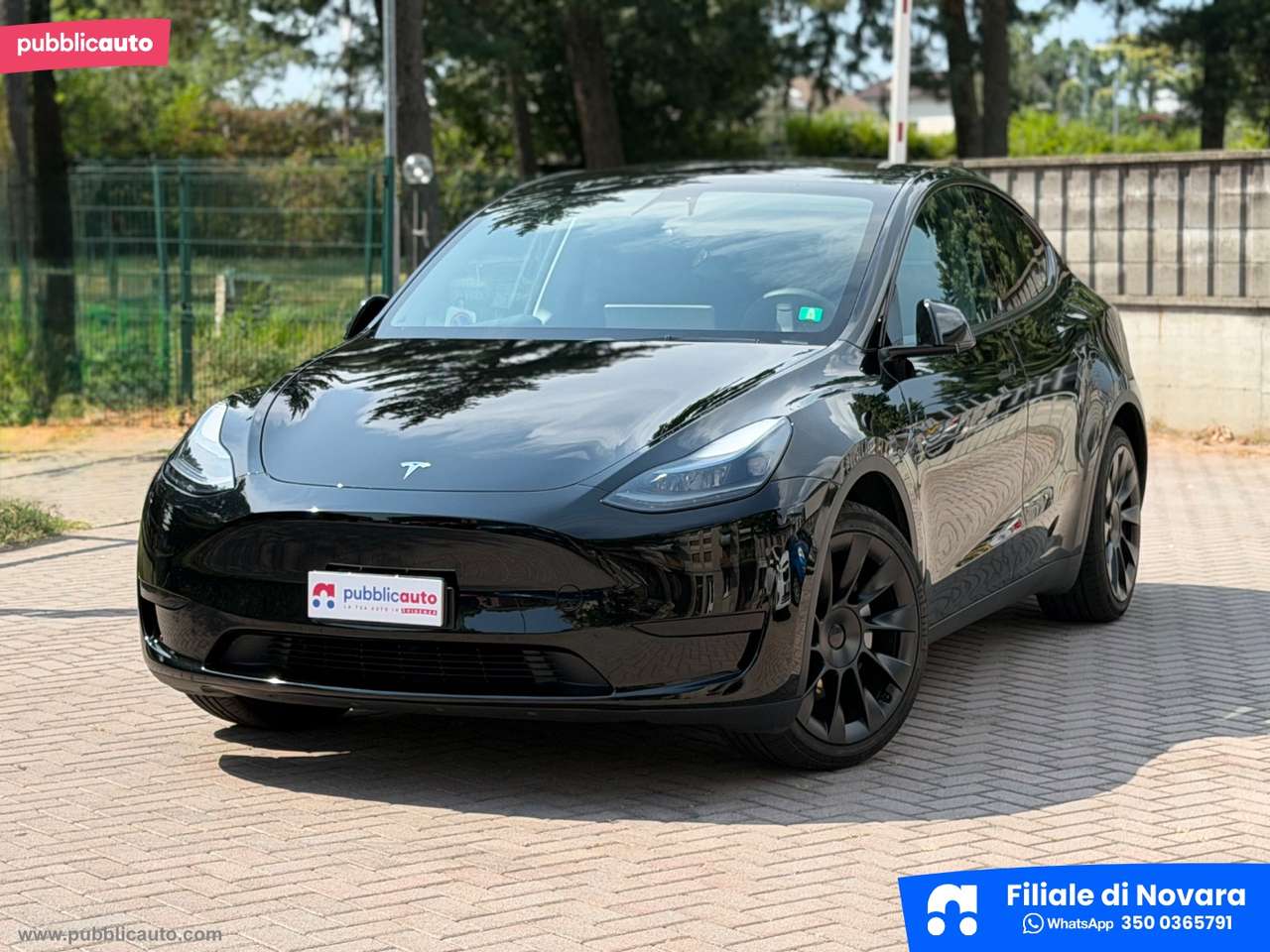 Tesla Model Y RWD