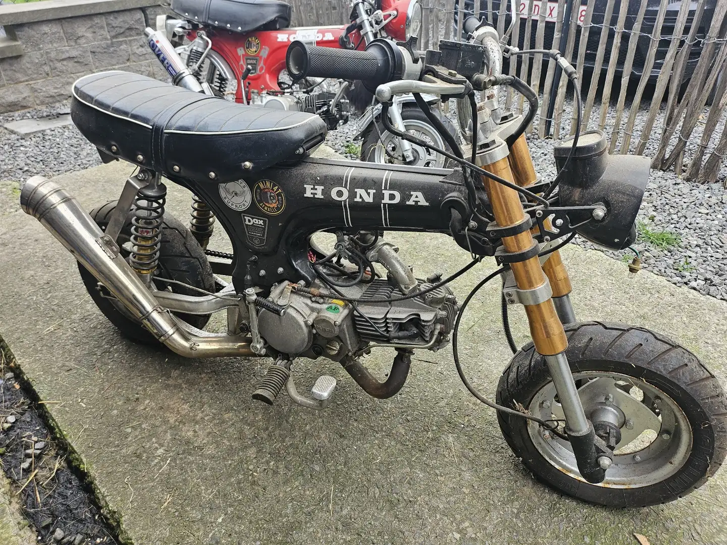 Skyteam Dax 125 Dax Skyteam 125cc papier. Moteur YX160cc Negro - 1