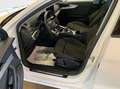 Audi A4 40 TDI quattro STH AHV Keyless ACC Weiß - thumbnail 11