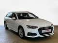 Audi A4 40 TDI quattro STH AHV Keyless ACC Weiß - thumbnail 2