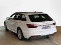 Audi A4 40 TDI quattro STH AHV Keyless ACC Weiß - thumbnail 6
