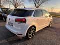 Citroen C4 Picasso C4 Picasso II 2017 1.6 bluehdi Live s*AUTOMATICO* Blanc - thumbnail 4
