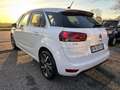 Citroen C4 Picasso C4 Picasso II 2017 1.6 bluehdi Live s*AUTOMATICO* Blanc - thumbnail 6