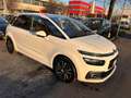 Citroen C4 Picasso C4 Picasso II 2017 1.6 bluehdi Live s*AUTOMATICO* Blanc - thumbnail 3