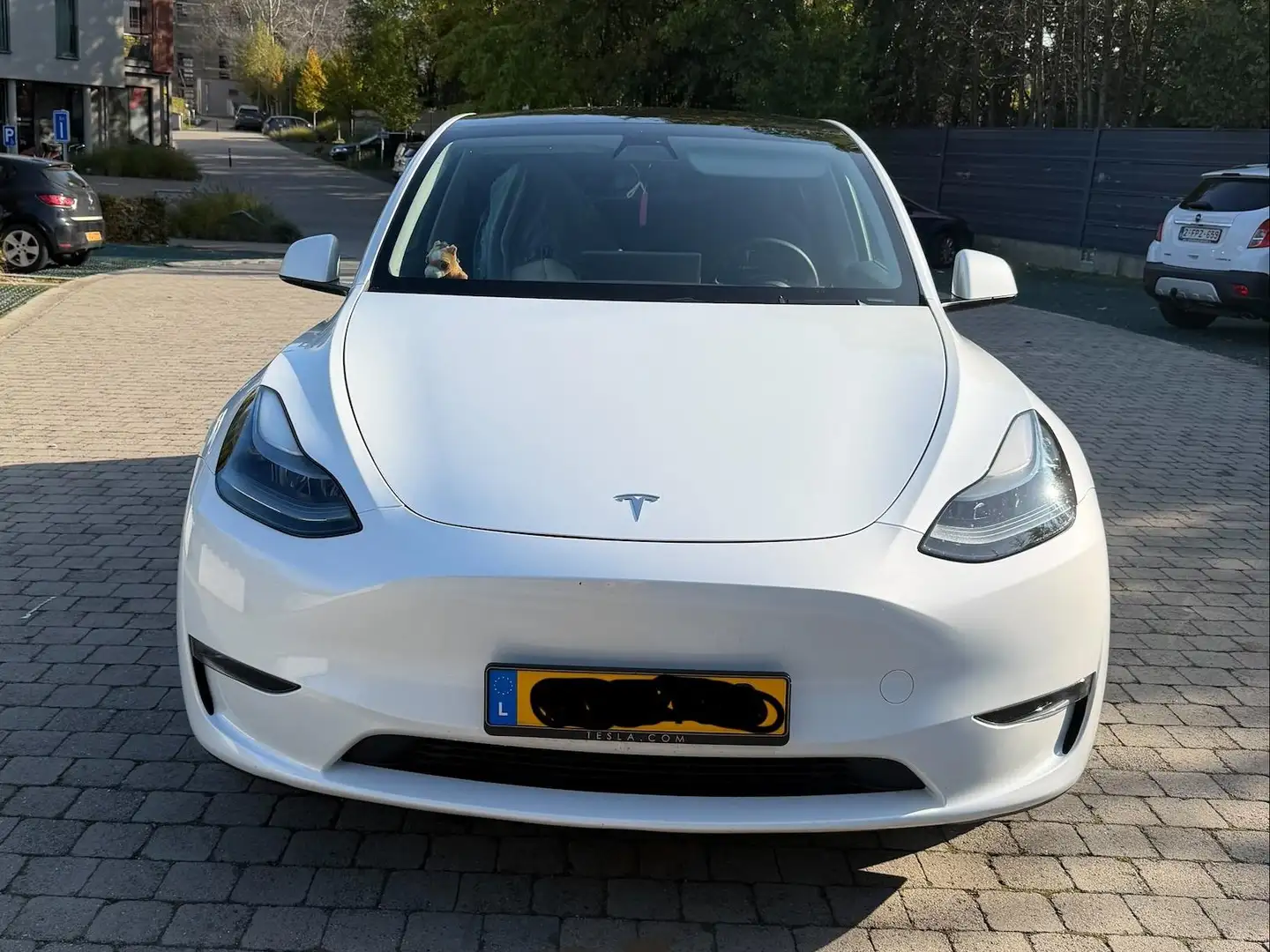 Tesla Model Y Model Y Long Range Dual Motor AWD Blanc - 2