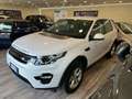 Land Rover Discovery Sport Discovery Sport 2.2 TD4 HSE Luxury Bianco - thumbnail 9