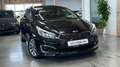 Kia Ceed SW / cee'd SW cee'd SW 1,6 CRDi ISG Platin Platin Schwarz - thumbnail 25