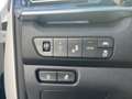 Kia Niro 64 kwh evolution obc 11kw - thumbnail 24