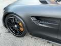 Mercedes-Benz AMG GT R *Carbon*Keramik*AMG Track Package* Grau - thumbnail 23