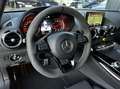 Mercedes-Benz AMG GT R *Carbon*Keramik*AMG Track Package* Grau - thumbnail 28