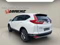 Honda CR-V 2.0 HYBRID Elegance PDC*Klima*Sitzheizung Blanc - thumbnail 3
