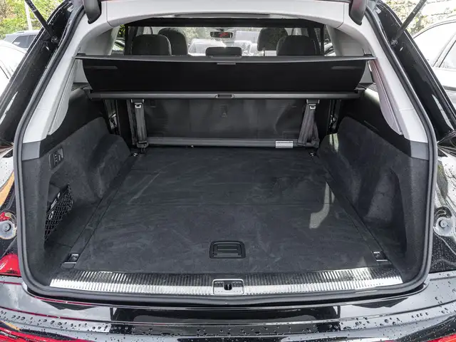 Audi Q7 view 18