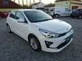 Kia Rio Edition 7 mit nur 74.658 Kilometer Top Ausstattung Weiß - thumbnail 3