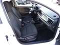Kia Rio Edition 7 mit nur 74.658 Kilometer Top Ausstattung Weiß - thumbnail 11