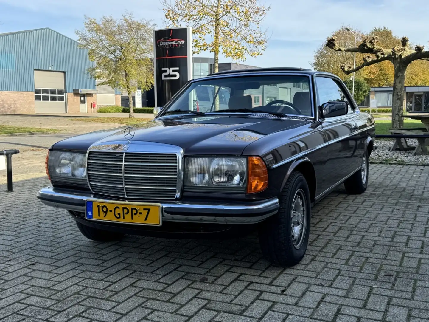 Mercedes-Benz CE 280 200-280 (W123) Hnědá - 1