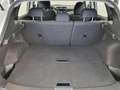 Nissan Qashqai 1.5 dCi 115 CV N-Connecta Weiß - thumbnail 25