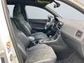 CUPRA Ateca 2.0 TSI 4Drive DSG *PANO*BEATS*NAVI*360*DCC* Weiß - thumbnail 21