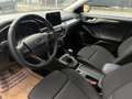 Ford Focus EcoBlue Titanium,* ACC, AHK, LED, Navi, Blau - thumbnail 12