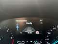 Ford Focus EcoBlue Titanium,* ACC, AHK, LED, Navi, Blau - thumbnail 38