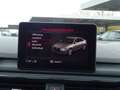 Audi A4 A4 2.0 TDI sport quattro Autom./Klima/Xenon Gri - thumbnail 31