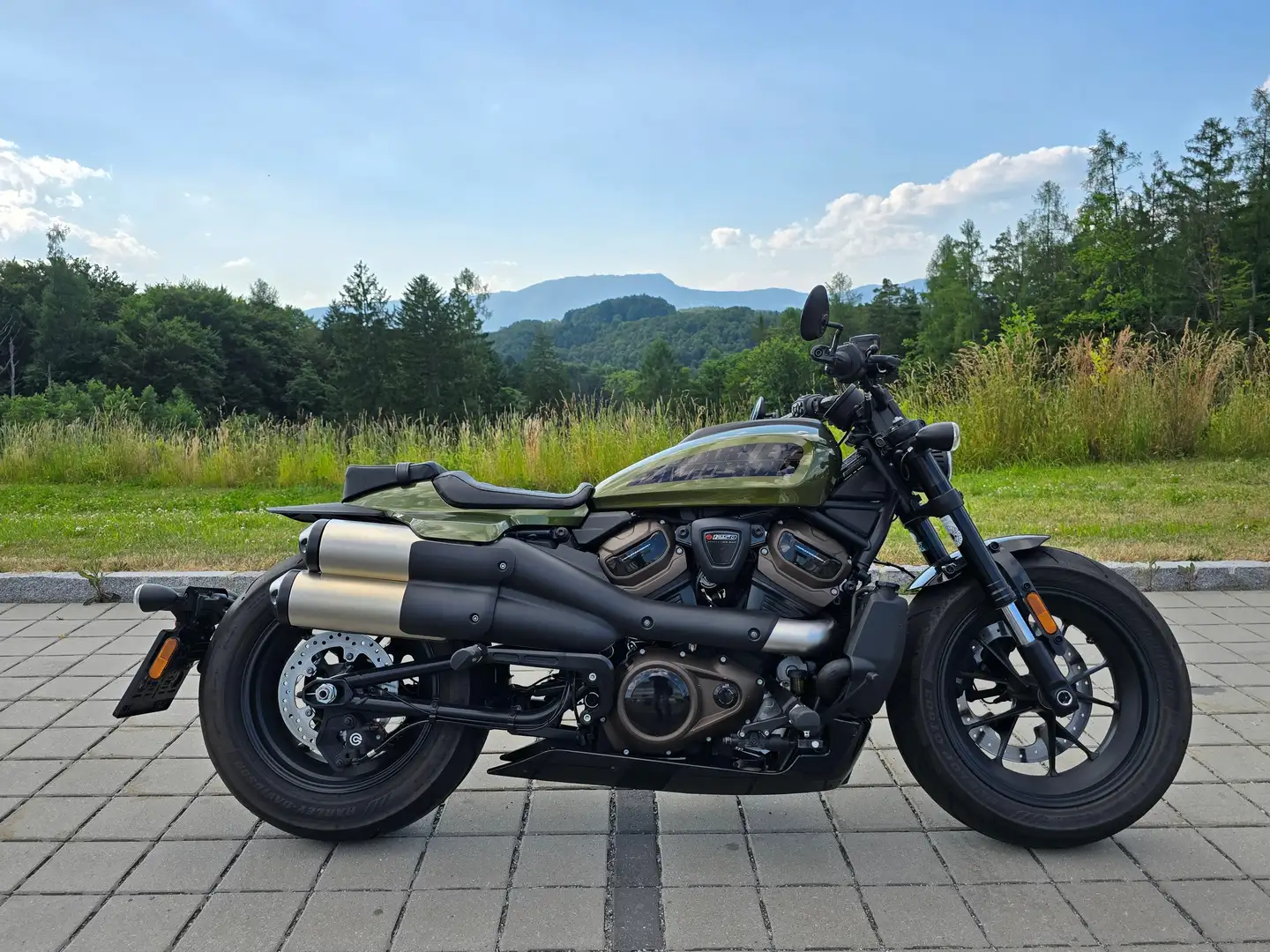 Harley-Davidson Sportster Sportster S 1250 Grün - 1