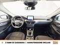 Ford Kuga 1.5 ecoblue titanium 2wd 120cv Gris - thumbnail 10