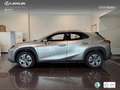 Lexus UX 300e Business Silber - thumbnail 13