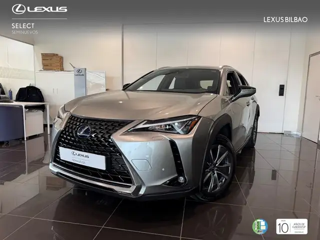Lexus UX 300e Business