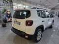 Jeep Renegade Renegade 1.5 Turbo T4 MHEV Altitude Bianco - thumbnail 4