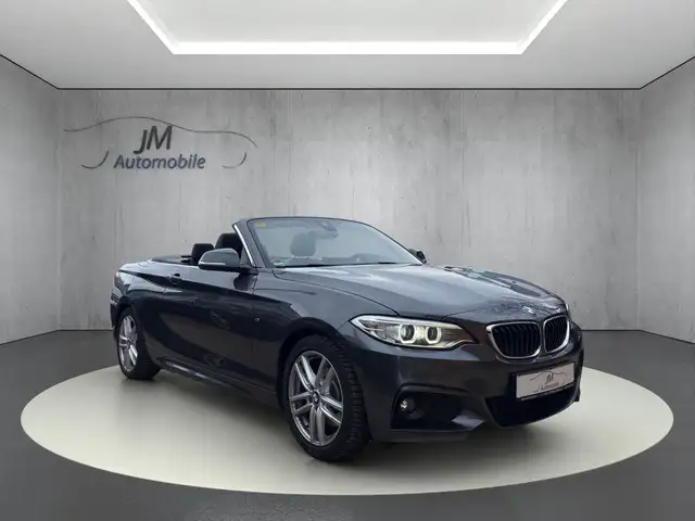 BMW 228 i  Cabrio M Sport Leder Bi Xenon Kamera