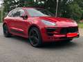 Porsche Macan Macan GTS PDK - thumbnail 2