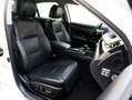 Lexus GS 450h President Line | Night Vision | Mark Levinson | Ad Wit - thumbnail 11
