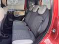 Fiat Panda Classic 4x4 1,3 Multijet II 75 Rot - thumbnail 8