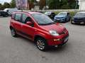 Fiat Panda Classic 4x4 1,3 Multijet II 75 Rot - thumbnail 15