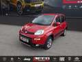 Fiat Panda Classic 4x4 1,3 Multijet II 75 Rot - thumbnail 1