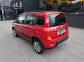Fiat Panda Classic 4x4 1,3 Multijet II 75 Rot - thumbnail 12