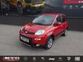 Fiat Panda Classic 4x4 1,3 Multijet II 75 Rot - thumbnail 1