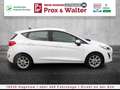 Ford Fiesta 1.0 EcoBoost M-Hybrid Titanium LED+NAVI Weiß - thumbnail 8