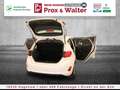 Ford Fiesta 1.0 EcoBoost M-Hybrid Titanium LED+NAVI Bianco - thumbnail 23