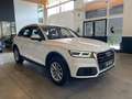 Audi Q5 40 2.0 tdi quattro 190cv s-tronic Blanc - thumbnail 3