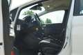 Ford Fiesta 1.1 Trend - Frozen White - Nav/Carplay/AC - Keurig Weiß - thumbnail 12