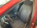 Ford Puma 1.0 BENZ./IBRIDA 125cv ST-LINE "NUOVA DA IMMATRIC. Rosso - thumbnail 14