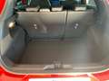 Ford Puma 1.0 BENZ./IBRIDA 125cv ST-LINE "NUOVA DA IMMATRIC. Rosso - thumbnail 9