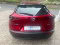 Mazda CX-30 Selektion M-Hybrid Piros - thumbnail 7