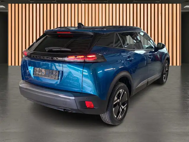Peugeot 2008 view 17