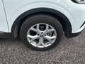 Renault Kadjar 1.5 DCI 85KW BLUE BUSINESS EDC AUTOCARRO Weiß - thumbnail 8