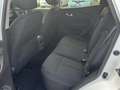Renault Kadjar 1.5 DCI 85KW BLUE BUSINESS EDC AUTOCARRO Weiß - thumbnail 12
