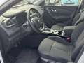 Renault Kadjar 1.5 DCI 85KW BLUE BUSINESS EDC AUTOCARRO Weiß - thumbnail 11