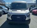 Ford Transit Bus Minibus 2,0 EcoBlue HDT L3H2 410 Trend Silver - thumbnail 2